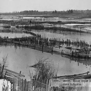 Левый берег Клязьмы 1959  г. 