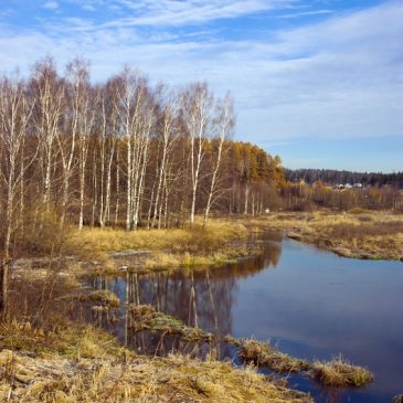 Моё Менделеево — Владимир Семенов